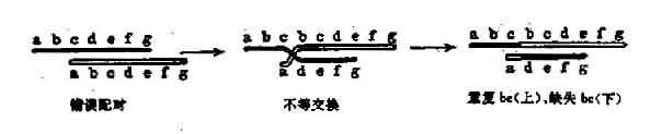 错误配对和不等交换
